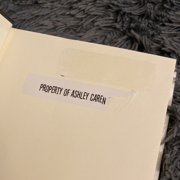 The Nanny Diaries BOOK - Picture 6 of 12